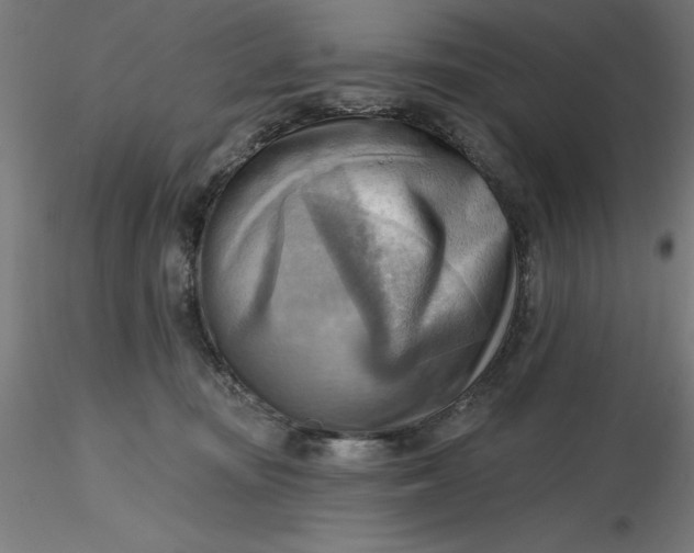 X0000116650371200912291621