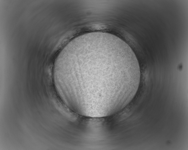 X0000116650373200912291621