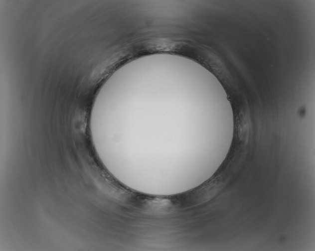 X0000116650374200912291621