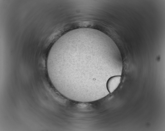 X0000116650375200912291621