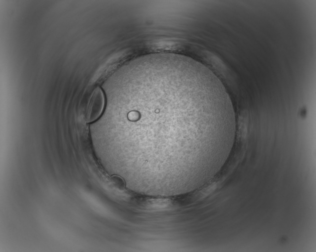 X0000116650377200912291621