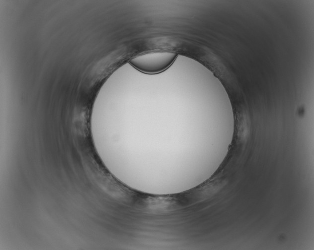 X0000116650378200912291621