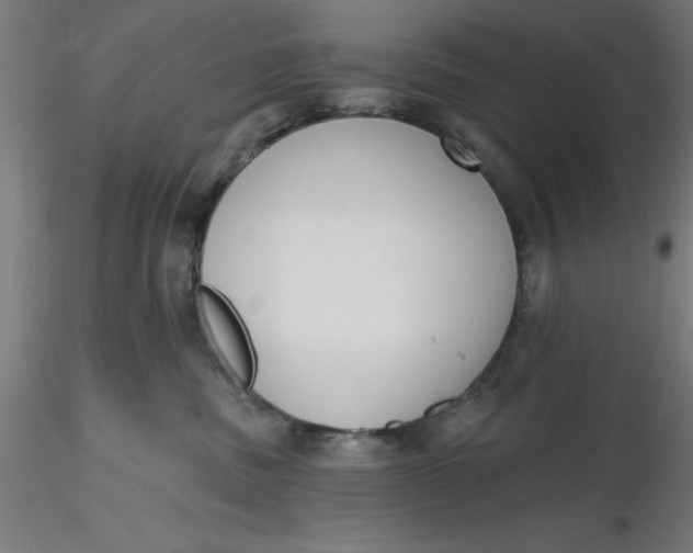 X0000116650379200912291621