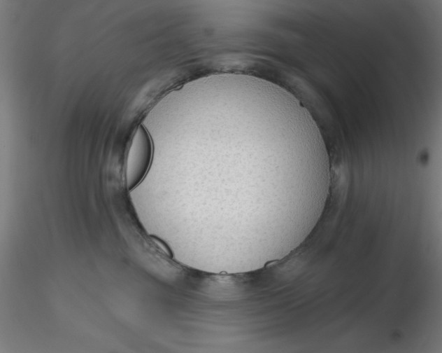 X0000116650381200912291621