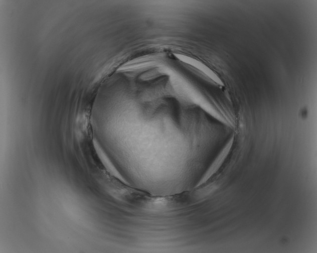 X0000116650382200912291621