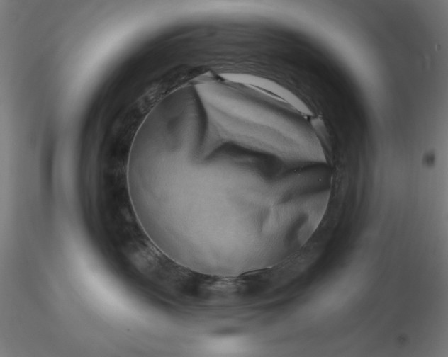 X0000116650383200912291621