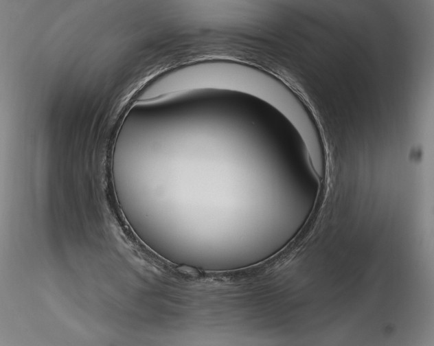 X0000116650386200912291621