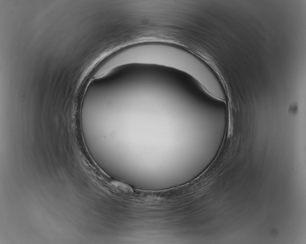 X0000116650387200912291620