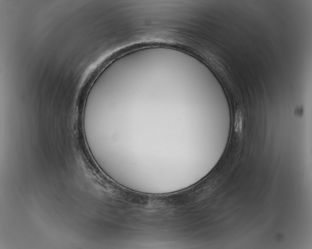 X0000116650388200912291620