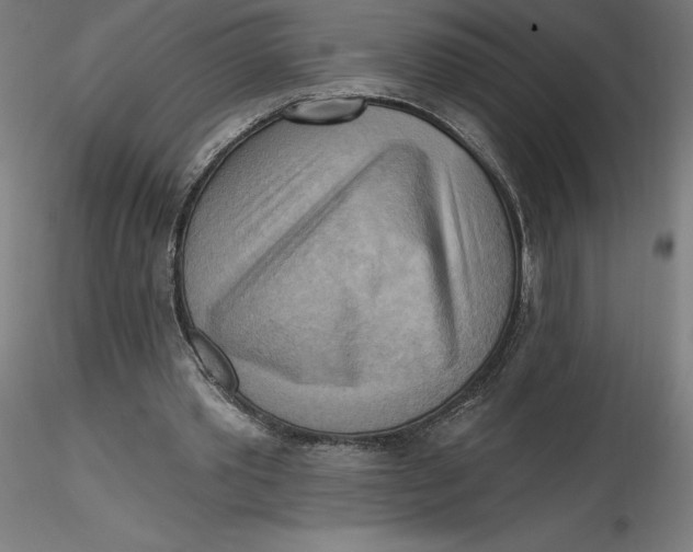 X0000116650389200912291620