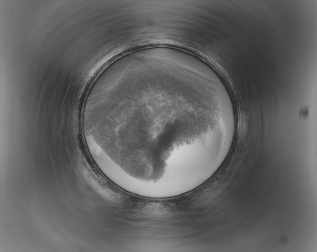 X0000116650390200912291620