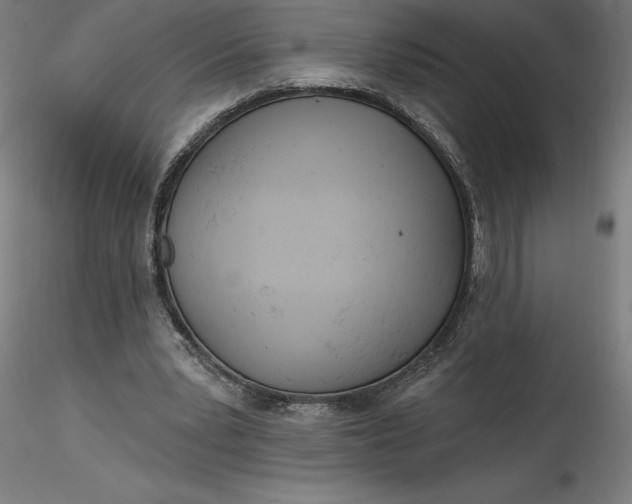 X0000116650391200912291620