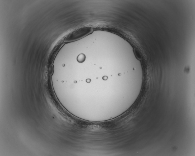 X0000116650392200912291620