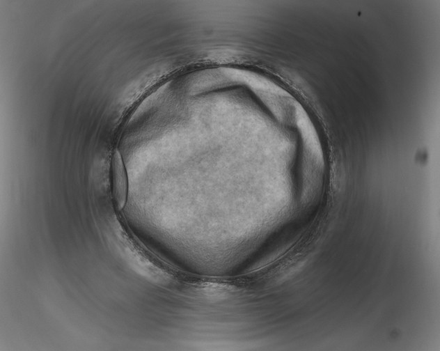 X0000116650393200912291620