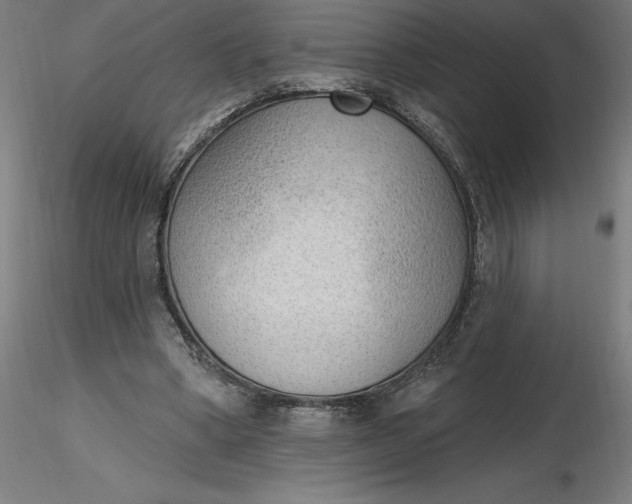 X0000116650394200912291620