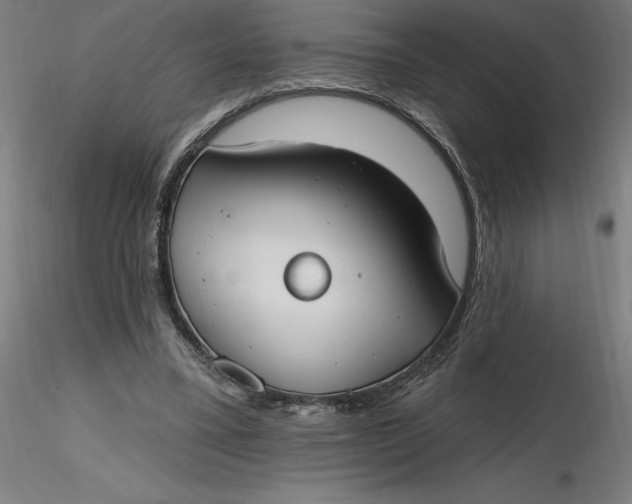 X0000116650395200912291620