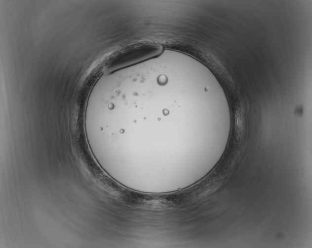 X0000116650396200912291620