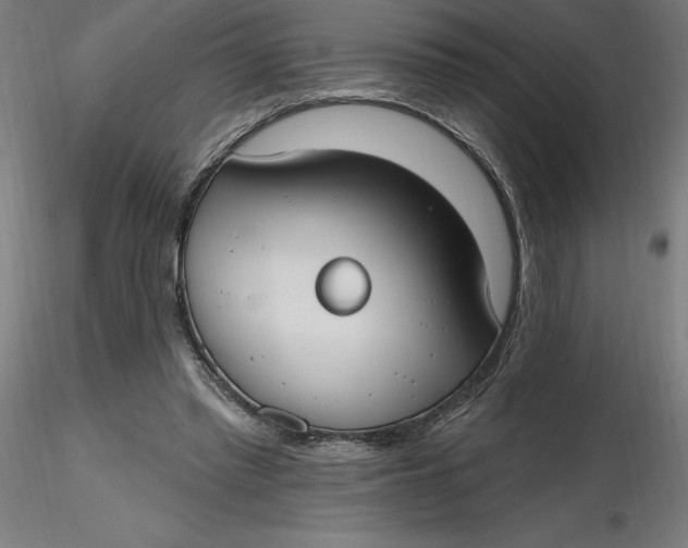 X0000116650397200912291620