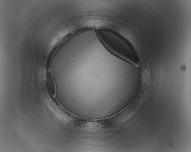 X0000116650399200912291620