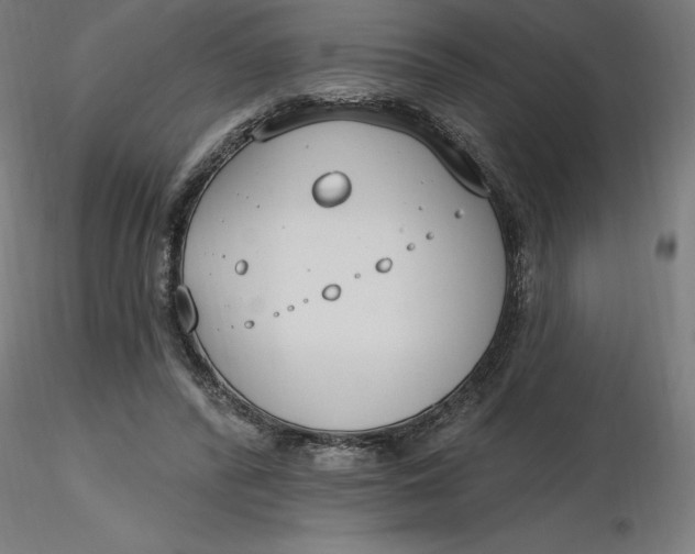 X0000116650400200912291620