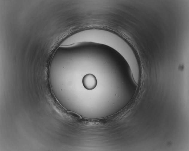 X0000116650401200912291620