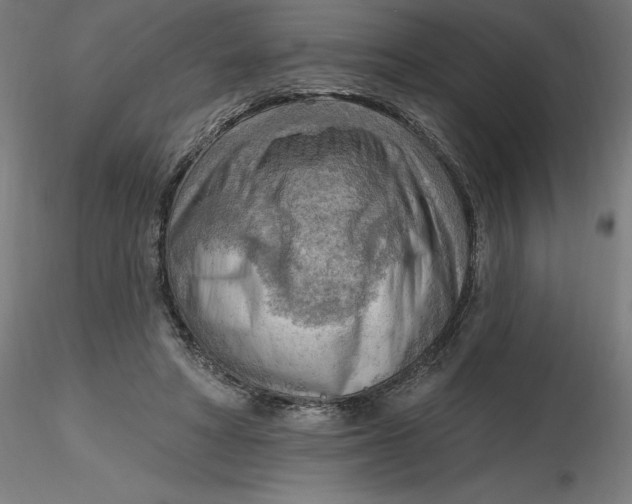 X0000116650402200912291620