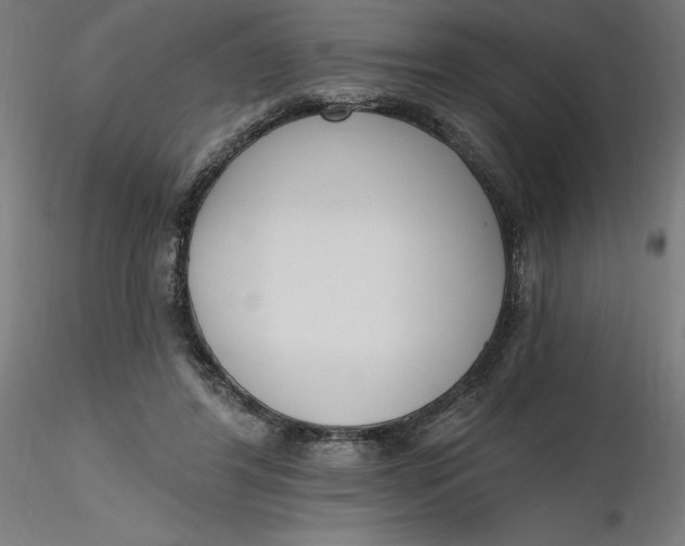 X0000116650404200912291620