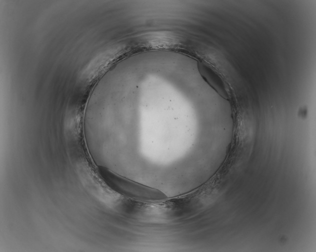 X0000116650405200912291620