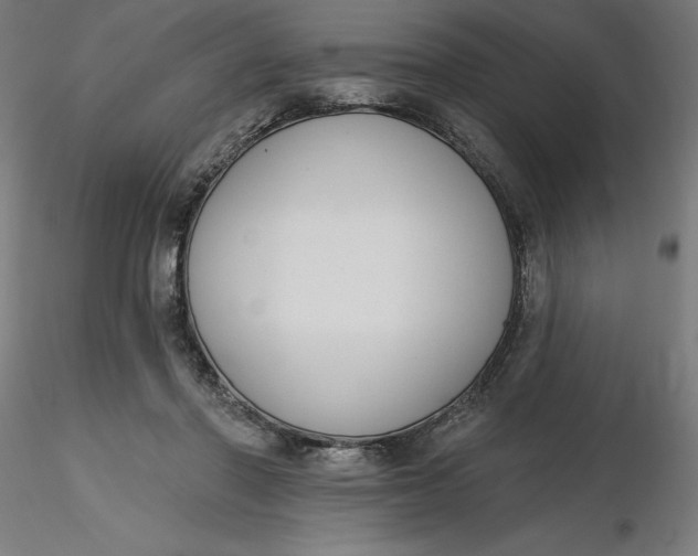 X0000116650406200912291620