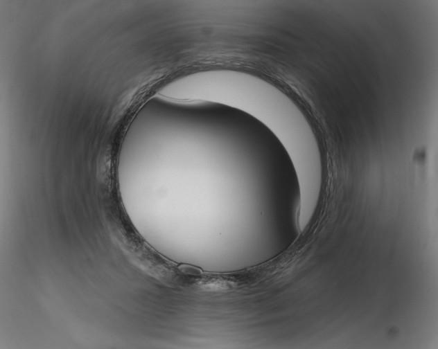 X0000116650407200912291620