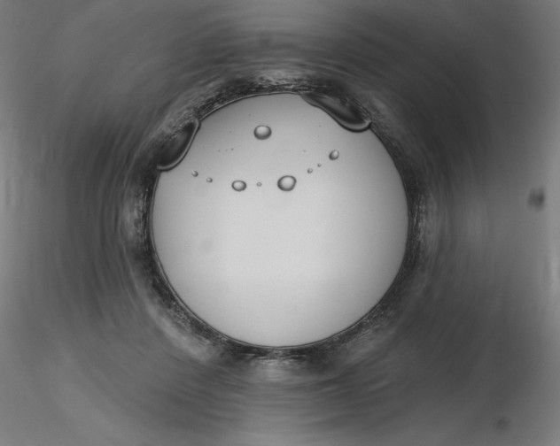 X0000116650408200912291620