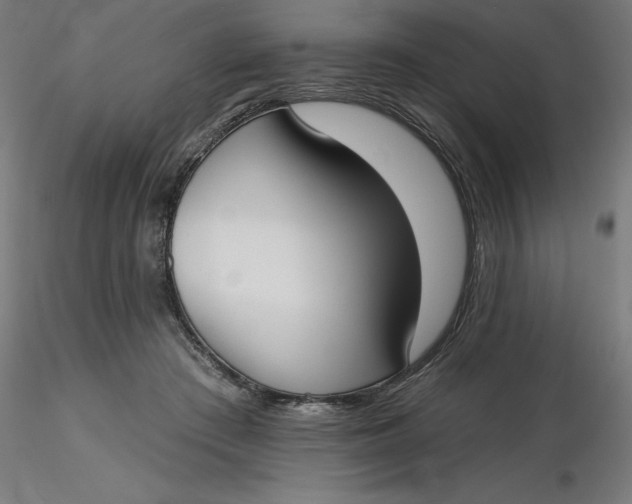 X0000116650409200912291620