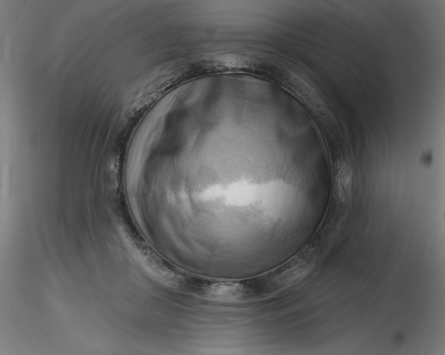 X0000116650410200912291620