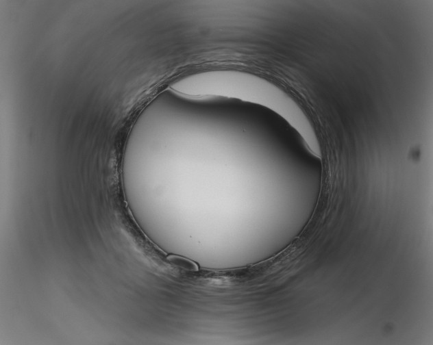 X0000116650411200912291620