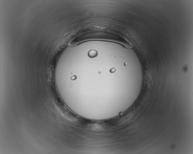 X0000116650412200912291620