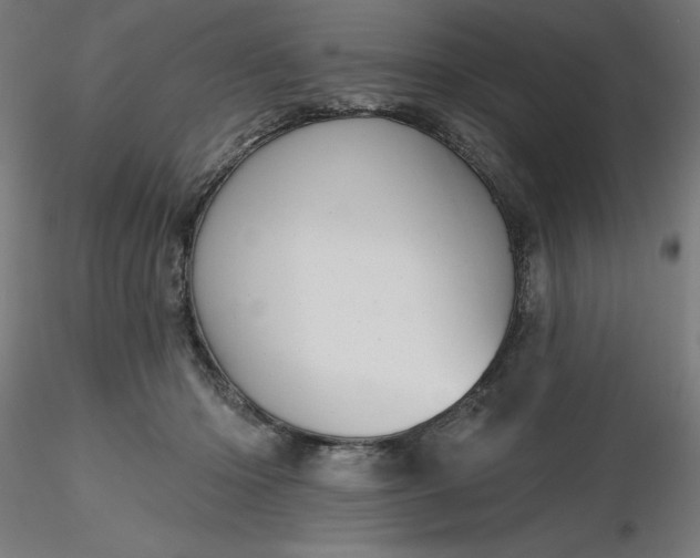 X0000116650414200912291620