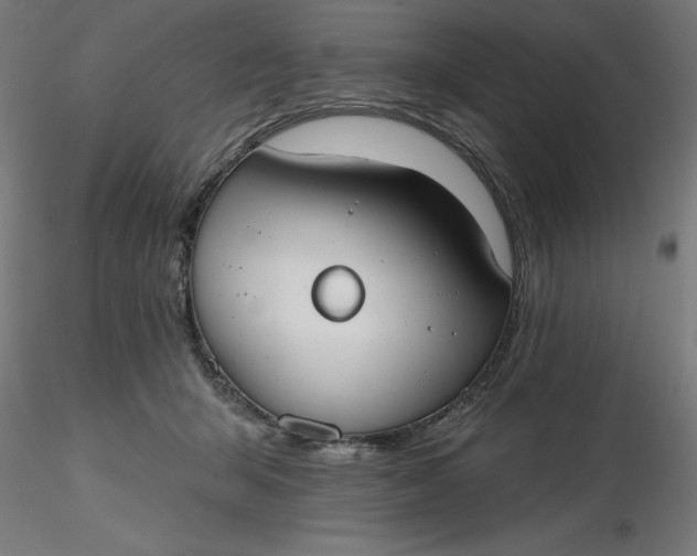 X0000116650415200912291620