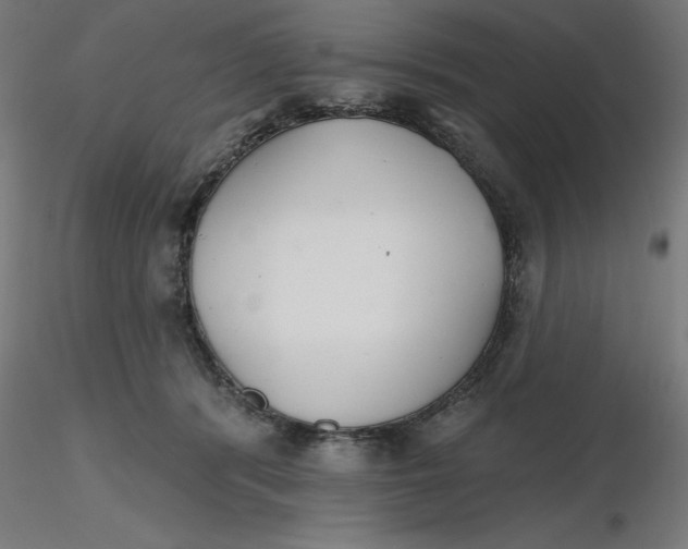 X0000116650416200912291620