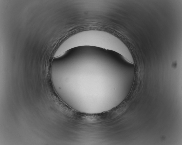 X0000116650417200912291620