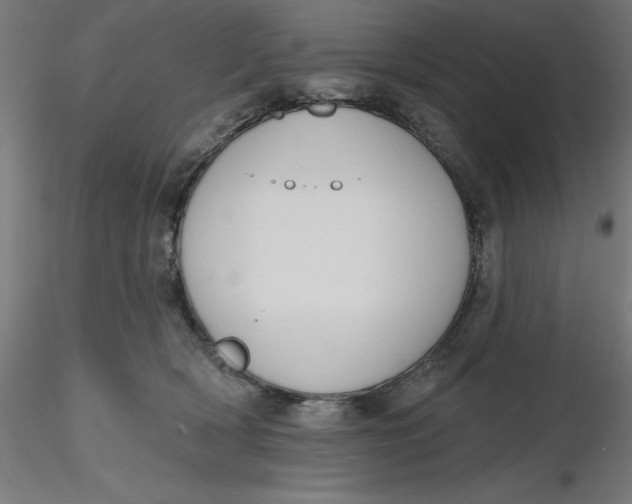 X0000116650418200912291620