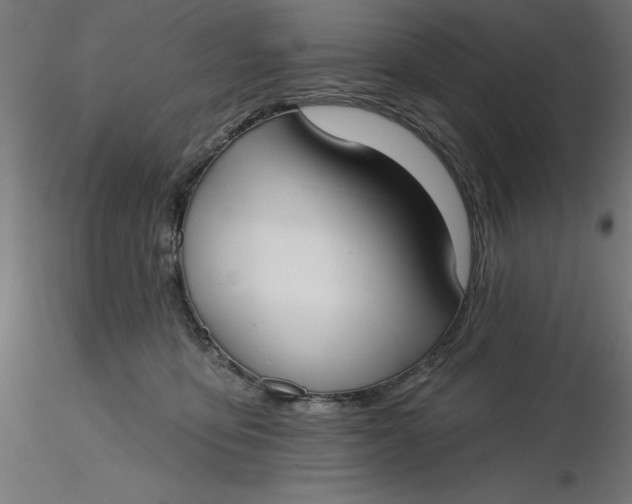 X0000116650419200912291620