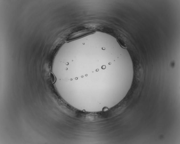 X0000116650420200912291620