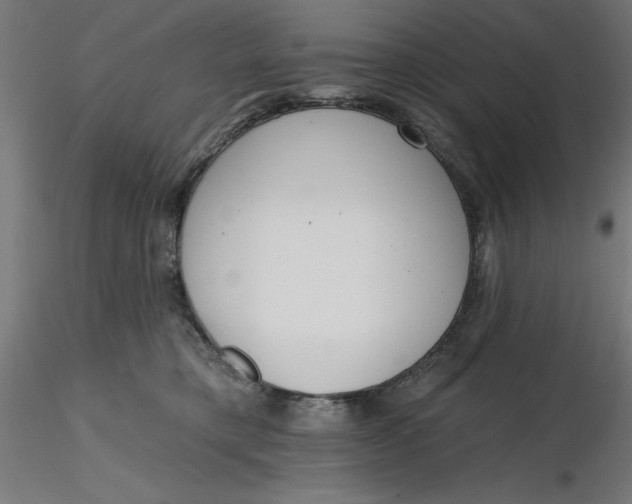 X0000116650421200912291620