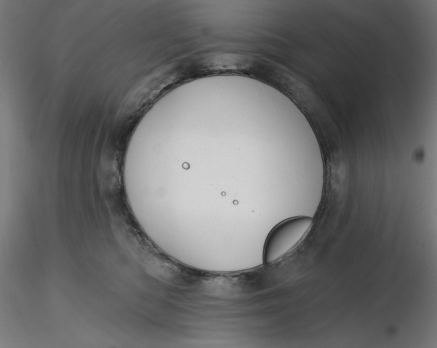 X0000116650422200912291620