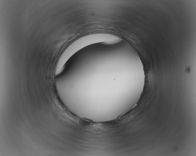 X0000116650423200912291620