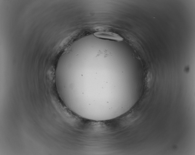 X0000116650424200912291620