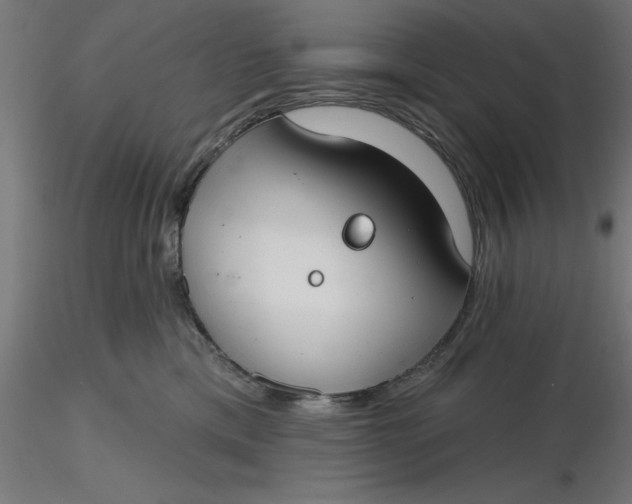 X0000116650425200912291620