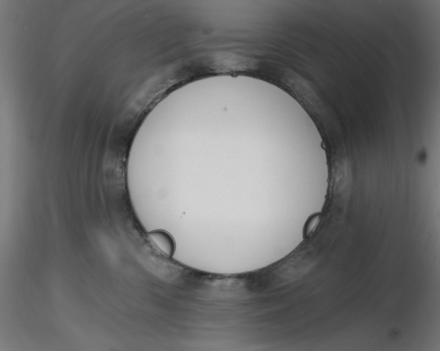 X0000116650426200912291620