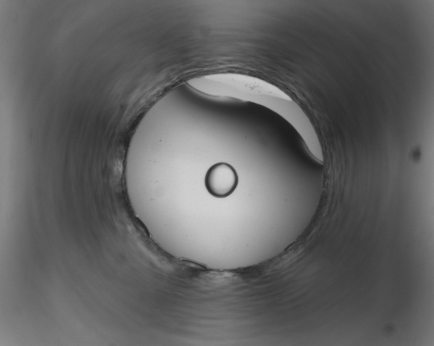 X0000116650427200912291620