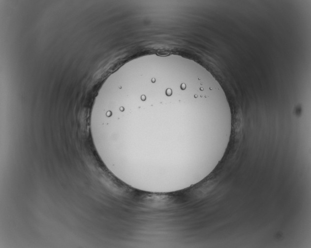 X0000116650428200912291620